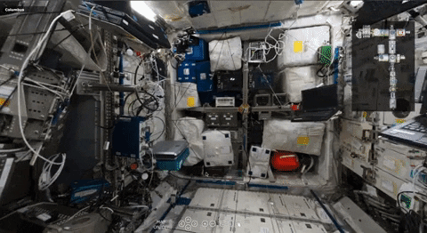 MrMerrillsClass giphyupload GIF