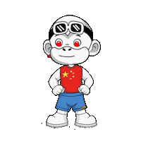 China What Sticker by Zhot