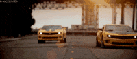 maximmotors  GIF