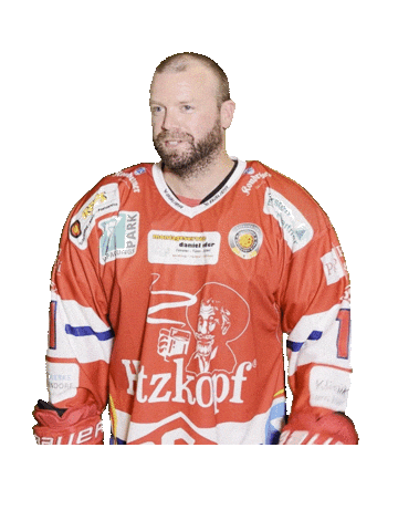 Hockey Sticker by dsc-eishockey