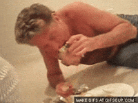 drunk david hasselhoff GIF