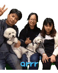 아르르 Sticker by arrr_official