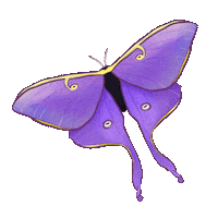 Luna Moth Pride Sticker by Contextual.Matters