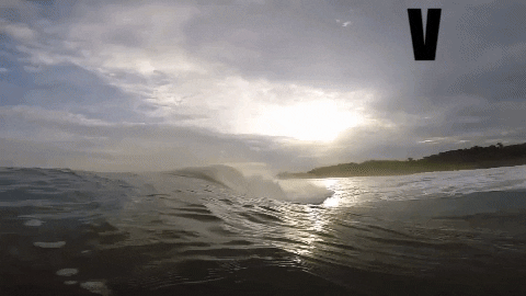 Sport Beach GIF by Bodyboarding Panama