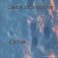 Sun Sunset GIF by Sad Hamster