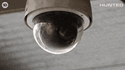Huntedau GIF by Hunted Australia