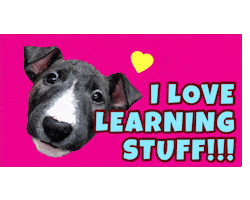 Dog Trainer Sticker
