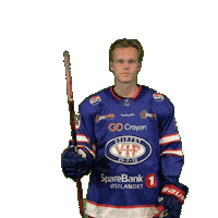 Pontus Sticker by VIF Hockey