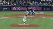 Jomboy  GIF