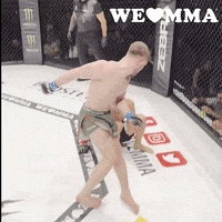 Mixed Martial Arts Fighting GIF by We love MMA