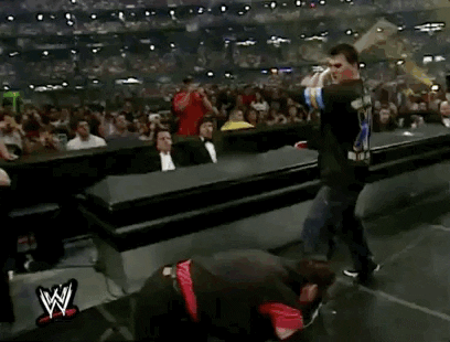 Shane Mcmahon Sport GIF by WWE