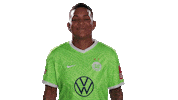 Van De Sanden Thumbs Up Sticker by VfL Wolfsburg