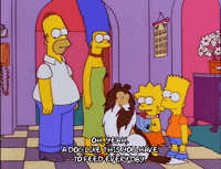 homer simpson episode 20 GIF