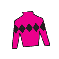 Horse Racing Sticker by Kentucky Derby