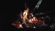 Camp Fire GIF by Jugendleiter-Blog