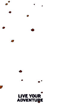 Explore Falling Leaves Sticker by Eddie Bauer