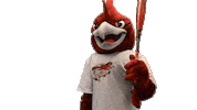 Roadrunners Rcnj Sticker by Ramapo College of New Jersey