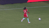 Womens Soccer Ugh GIF by National Women's Soccer League