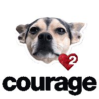 heart love Sticker by Passion Squared