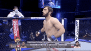 Sport Mma GIF by UFC