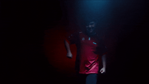 China Esports GIF by BLAST