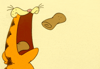 Hungry Cat GIF by Garfield