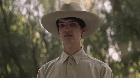 GIF by Coolidge Corner Theatre