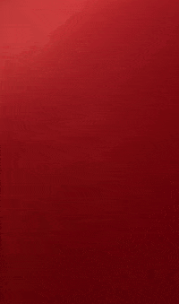 BishopJamesHighSchool orange screen an orange screen GIF