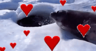 baby angel GIF