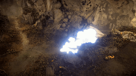 EA_Editorial giphyupload GIF