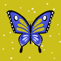 Excited Butterfly GIF