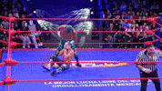 Lucha Libre Wrestling GIF