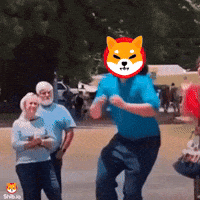 Shib Coin GIF by SHIB MEMES