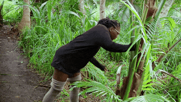 Idol Looking GIF by Survivor CBS