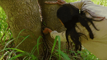 Idol Looking GIF by Survivor CBS