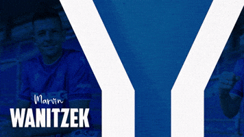 Soccer Bundesliga GIF by Karlsruher SC