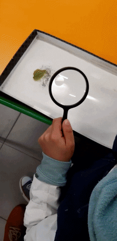 gretelbeatriz giphygifmaker GIF