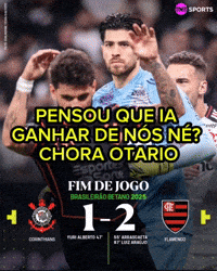 Flamengo Vs Corinthians GIF