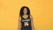 Division Ii Sport GIF by Cal State LA Golden Eagles