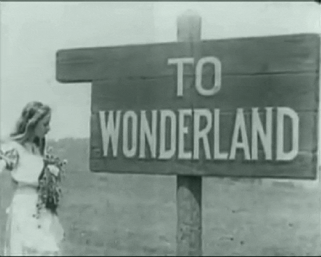 alice in wonderland story GIF