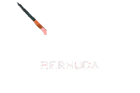Art Month Sticker by Bermuda Tourism Authority