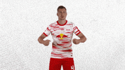 Football Soccer GIF by RB Leipzig