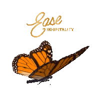 EaseHospitality nyc event butterfly new york city Sticker