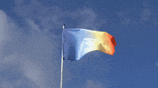 MauritsBoettger flag heat gradient climatechange GIF
