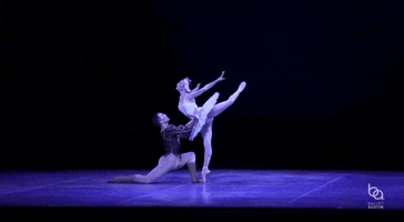 Swan Lake Ballerina GIF by Ballet Austin