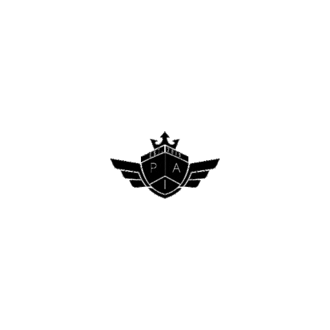 Car Sticker by IUSAMX
