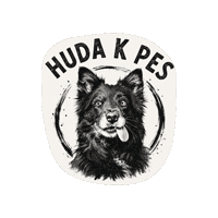 srecanavrvici snv srečanavrvici pasjašola huda k pes Sticker