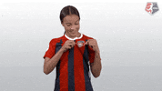 nwsl soccer nwsl crest washington spirit GIF