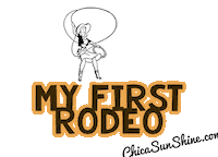 Country Music Texas Sticker by ChicaSunshineShop