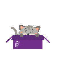 CuteCatPe gato gatos mascotas mascota Sticker